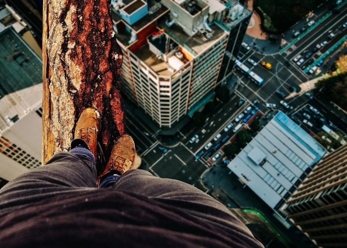 牦牛的英文怎么说，牦牛的英文是什么