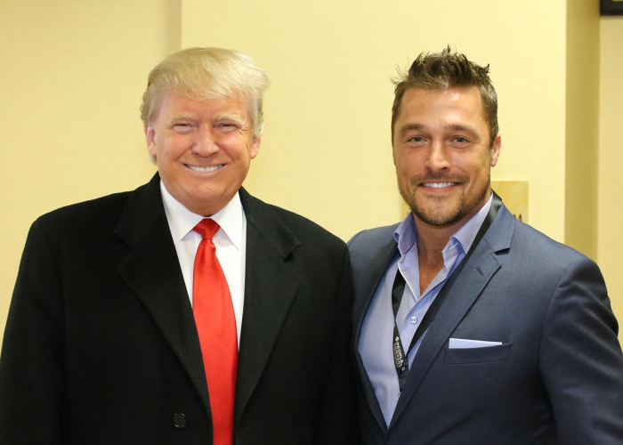 (海外志愿者)，海外志愿者招募官网