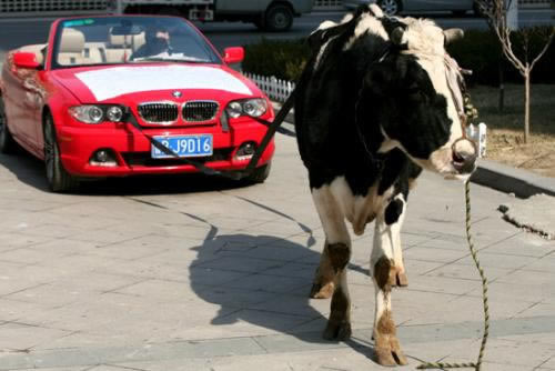 王头提款申请被黑了怎么挽回损失