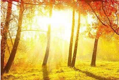 取款三方审核24小时办法有哪些(图)