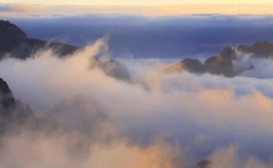 平台网上网站客服说风控审核提款失败