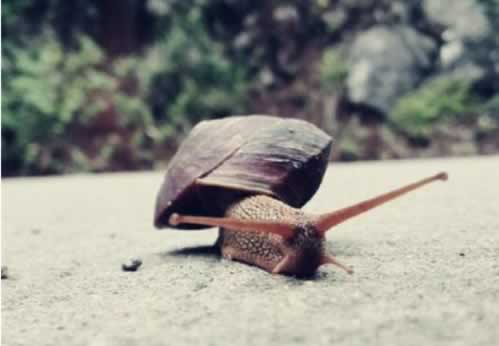 注单延迟取不出钱怎么办可以报警吗？