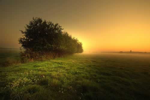 黑平台赢钱了不给提款怎么办