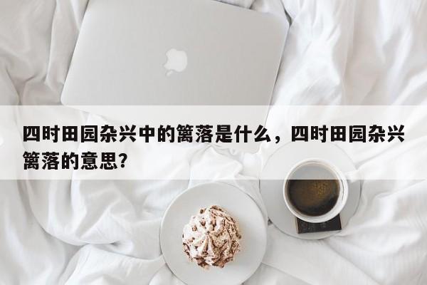 四时田园杂兴中的篱落是什么,四时田园杂兴篱落的意思?