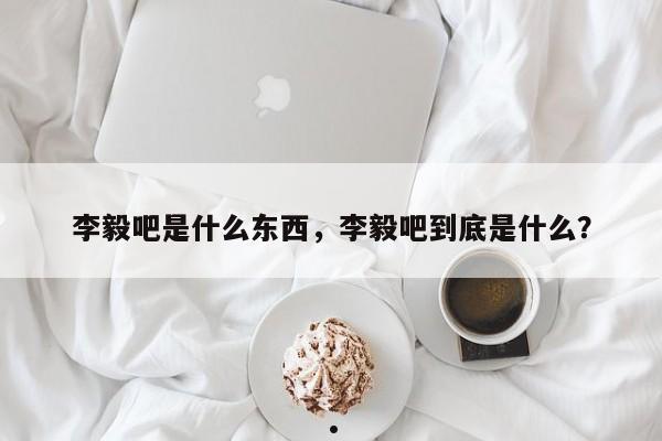 李毅吧是什么东西,李毅吧到底是什么?