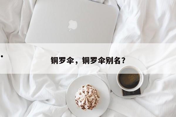铜罗伞,铜罗伞别名?