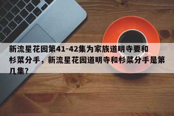 新流星花园第41-42集为家族道明寺要和杉菜分手,新流星花园道明寺和杉菜分手是第几集?