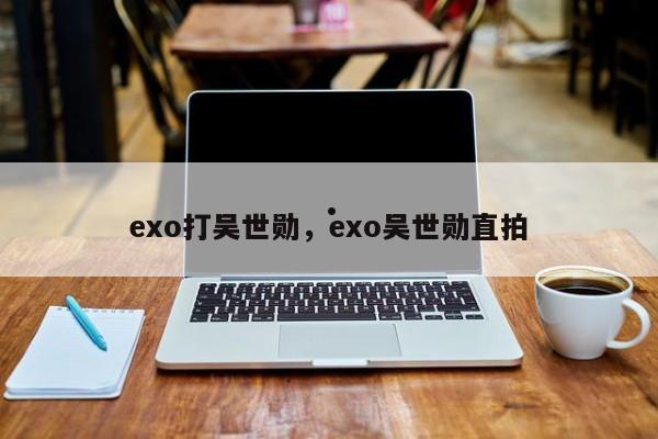 exo打吴世勋,exo吴世勋直拍