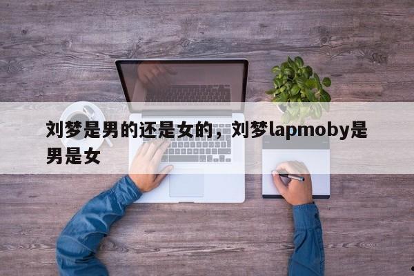 刘梦是男的还是女的,刘梦lapmoby是男是女