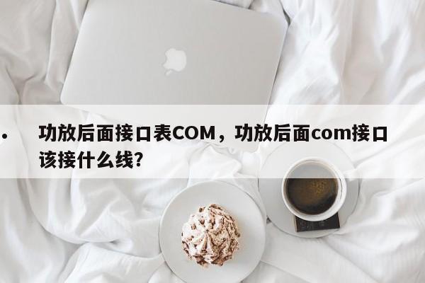 功放后面接口表COM,功放后面com接口该接什么线?