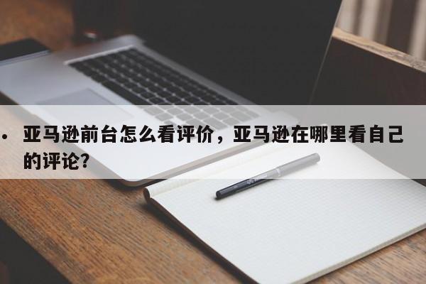 亚马逊前台怎么看评价,亚马逊在哪里看自己的评论?