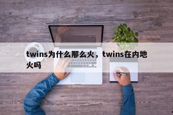 twins为什么那么火,twins在内地火吗