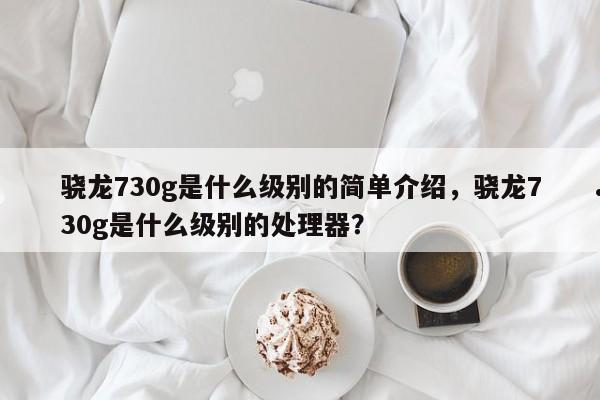 骁龙730g是什么级别的简单介绍,骁龙730g是什么级别的处理器?