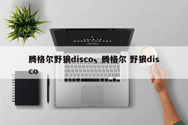 腾格尔野狼disco,腾格尔 野狼disco